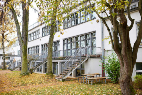 Schulgebäude: Architektur mit vielen Fenstern
